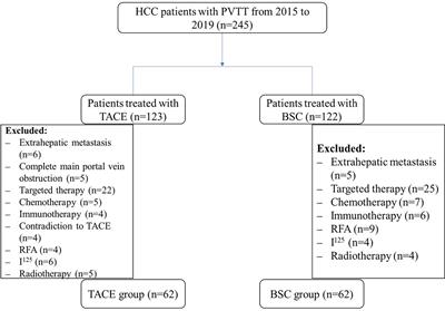 Efficacy and Safety of Transarterial Chemoembolization in Elderly Patients of Advanced Hepatocellular Carcinoma With Portal Vein Tumor Thrombus: A Retrospective Study